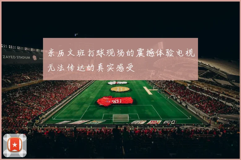 亲历文班打球现场的震撼体验电视无法传达的真实感受