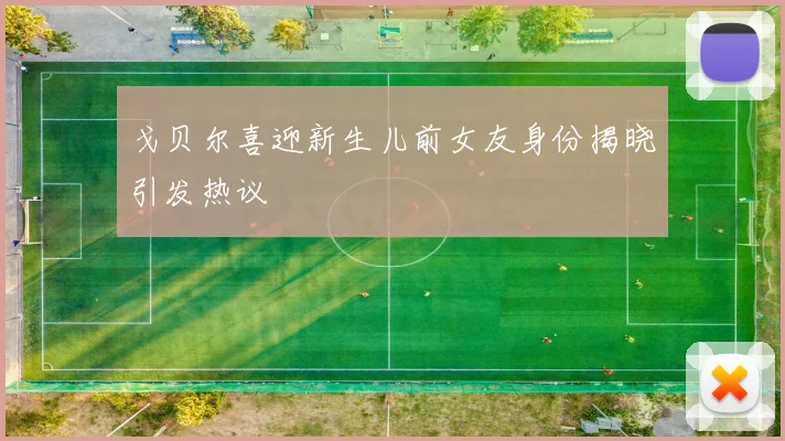 戈贝尔喜迎新生儿前女友身份揭晓引发热议