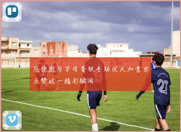 范德彪与字母哥联手助攻大加索尔点赞这一精彩瞬间